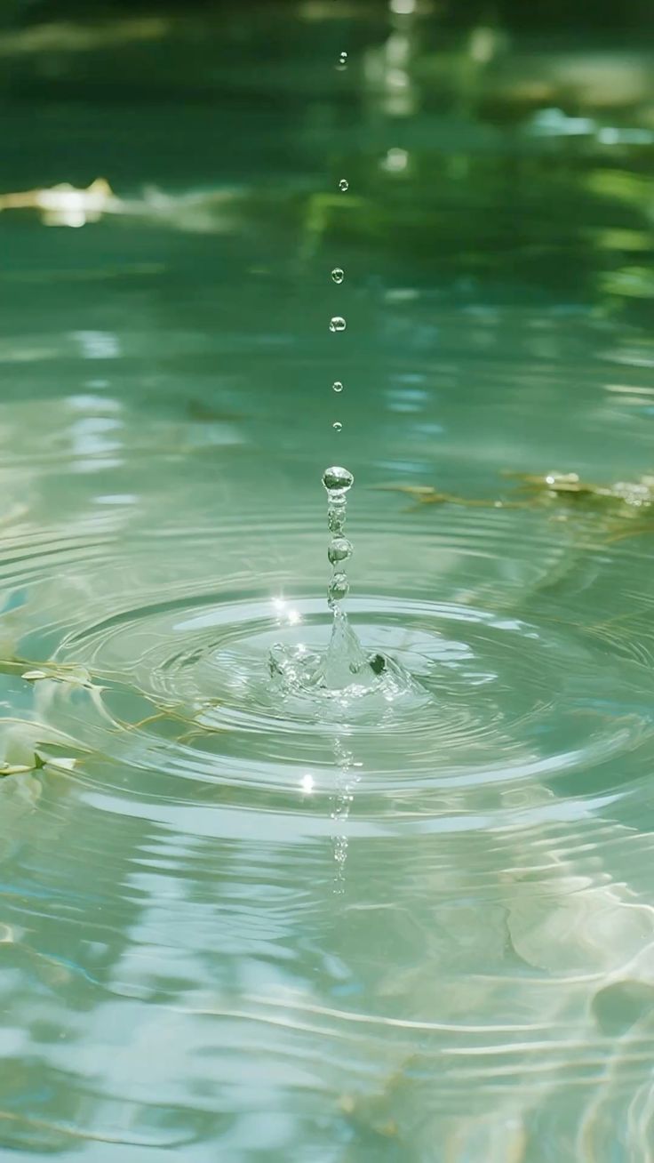 Aqua Fresh