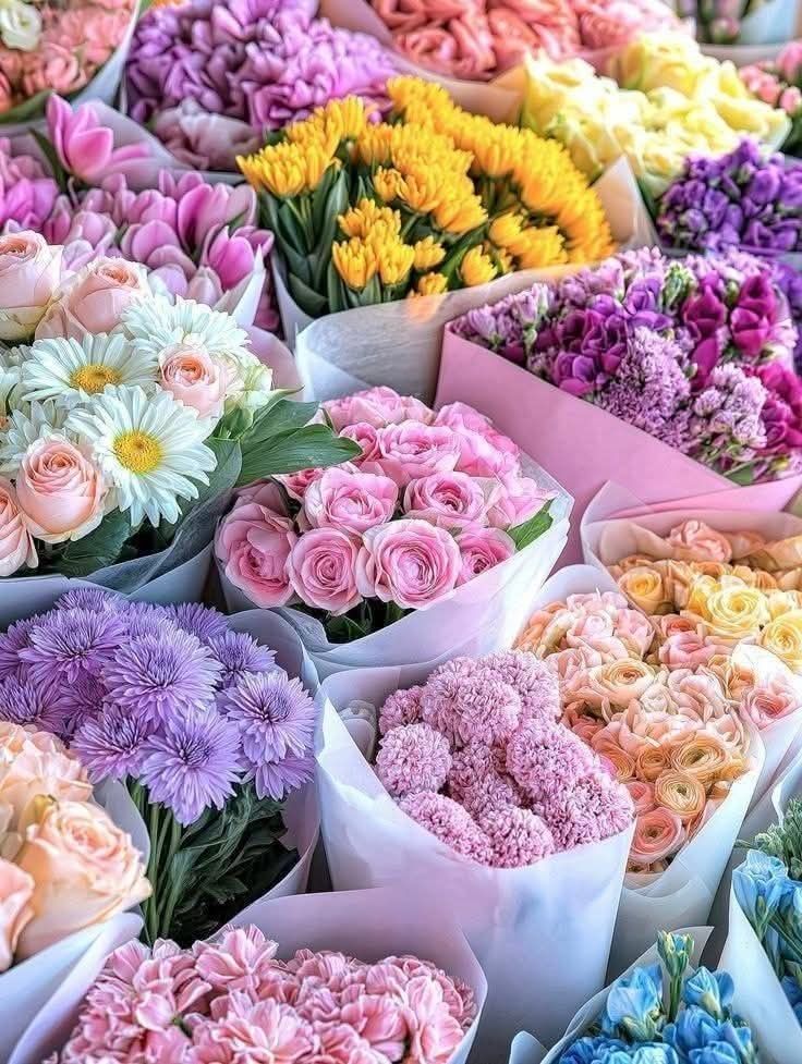 Essential Oils - Bloom Kit